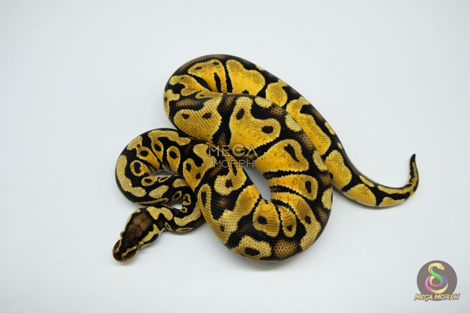 5076-1-1.jpg 5076 0.1 PASTEL ASPHALT - Image 1